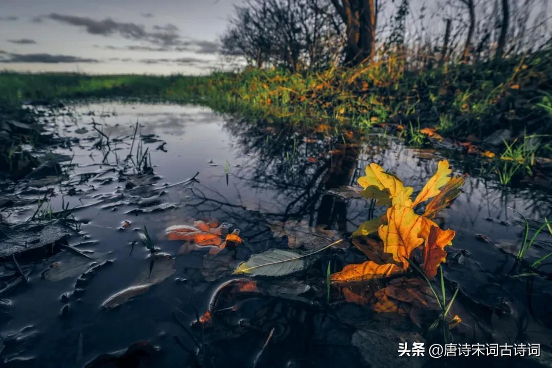 对潇潇暮雨洒江天潇潇_对潇潇暮雨洒江天 散文_潇潇暮雨洒江天是什么意思