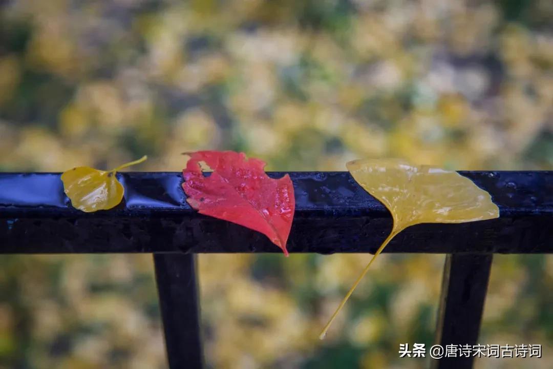 对潇潇暮雨洒江天潇潇_潇潇暮雨洒江天是什么意思_对潇潇暮雨洒江天 散文