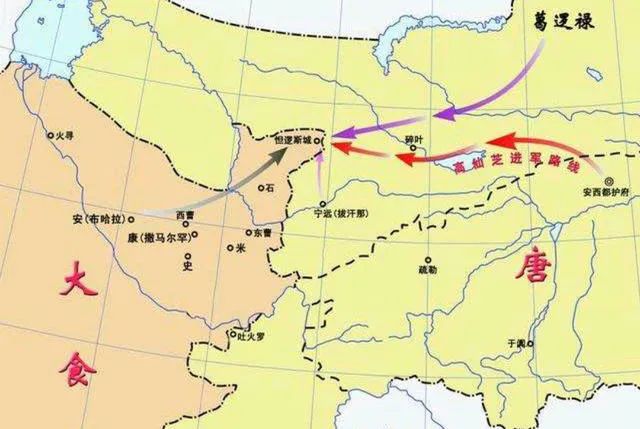 伊朗波斯地毯_伊朗波斯挂毯价格_伊朗女孩介绍波斯地毯画