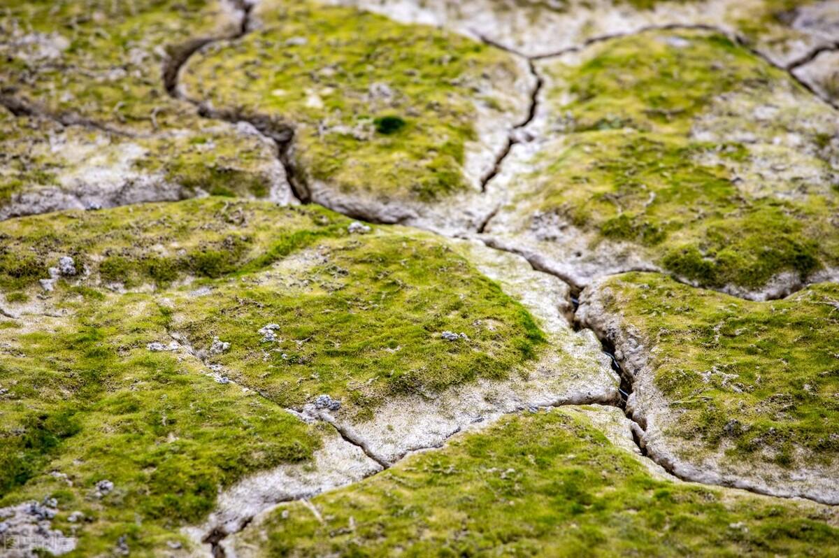 农村地暖燃烧木头_烧木材的地暖_木材地暖炉