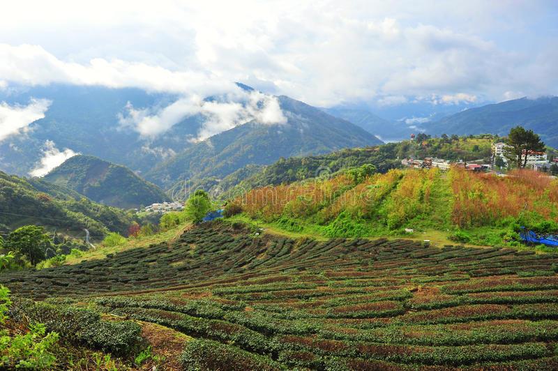 农村地暖燃烧木头_烧木材的地暖_木材地暖炉