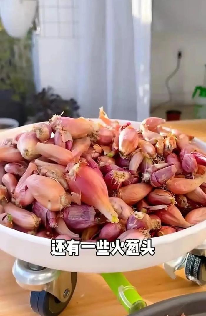 阳台封闭种菜好吗_封闭阳台 种菜_阳台封闭种菜违法吗