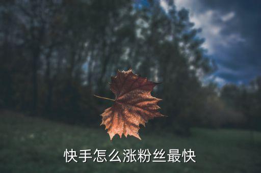 快手怎么涨粉丝最快