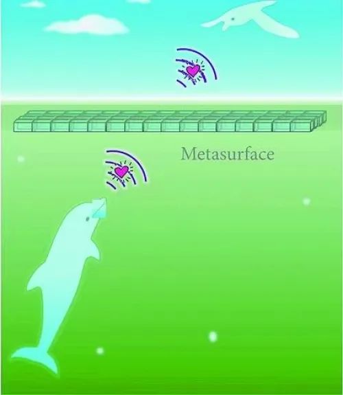 荷叶等自然界中超疏水结构可增强水气间声波新效应