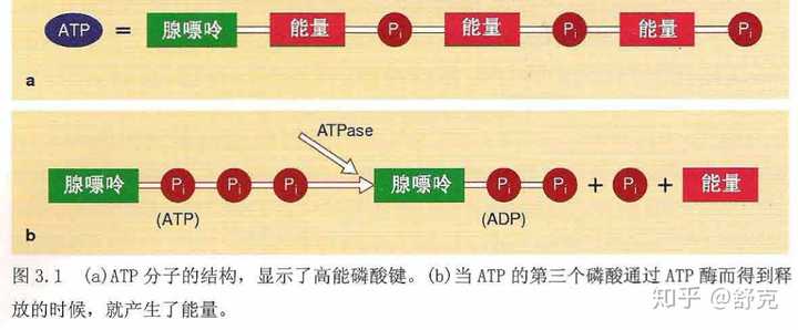 健身房高冲击是什么_健身房高冲击有氧_健身房有氧冲击是什么