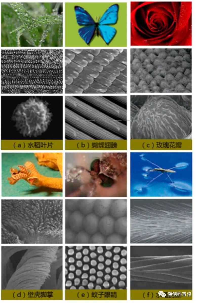 原理疏水涂层有哪些_疏水涂层材料_超疏水涂层原理