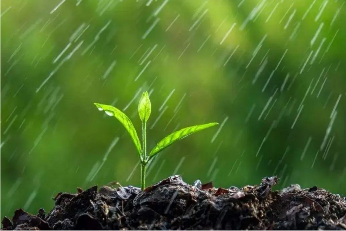 春雨落在大地上到底怎么了_春雨洒满了大地_什么的春雨什么的洒落在大地之上