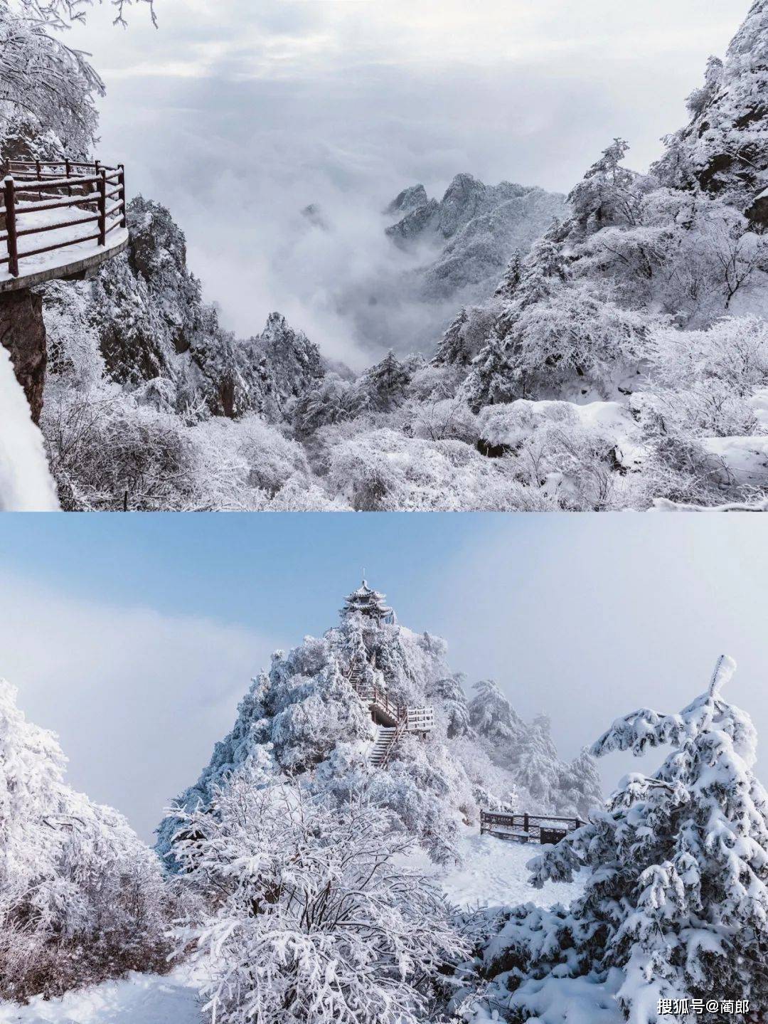 白马寺到丽景门_白马寺乘车路线_丽景门到白马寺怎么坐车