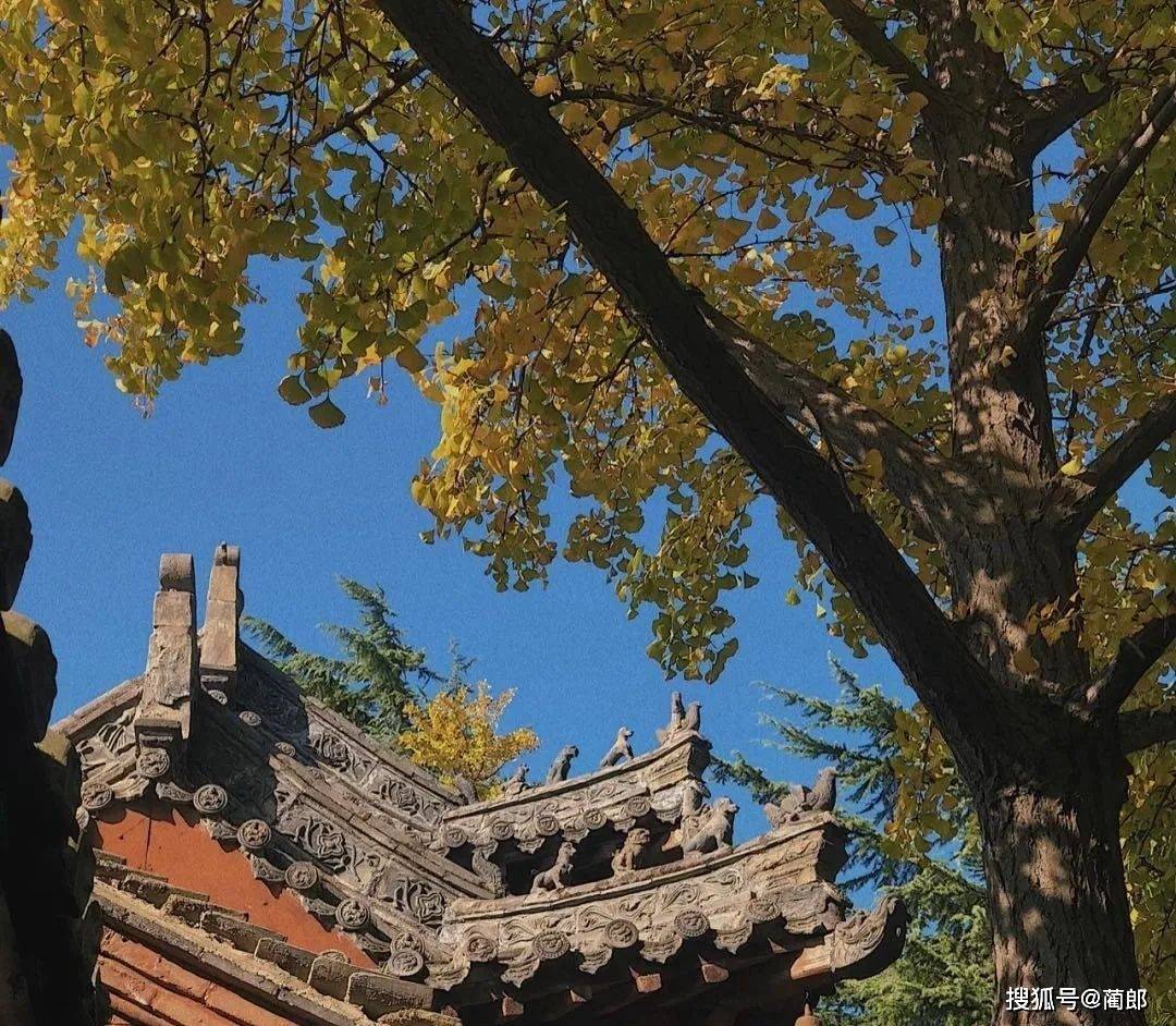 白马寺乘车路线_丽景门到白马寺怎么坐车_白马寺到丽景门