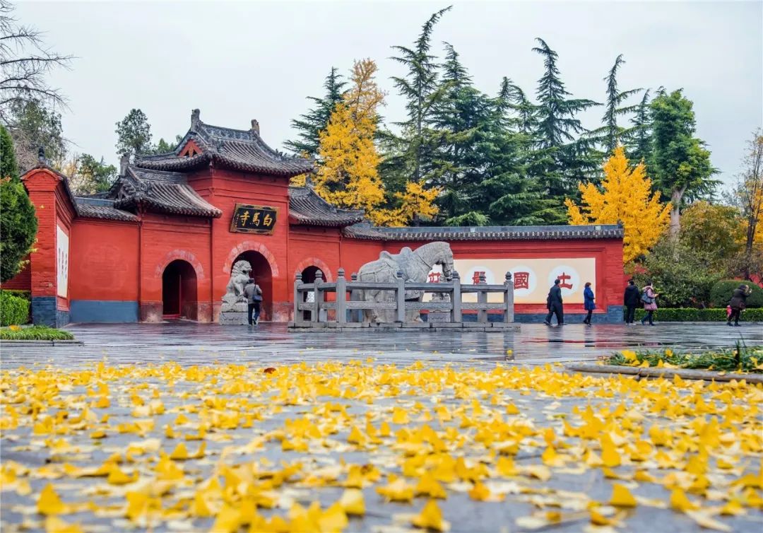 白马寺到丽景门_白马寺怎么走_丽景门到白马寺怎么坐车