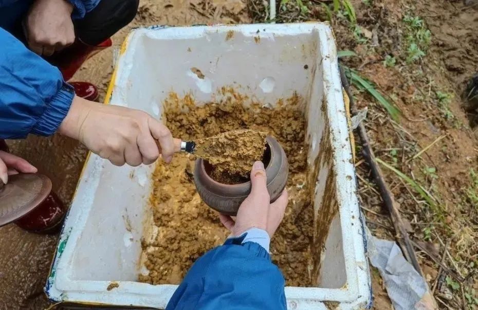 周星星小学根本没有_周星星小学是假的_周星星小学实拍