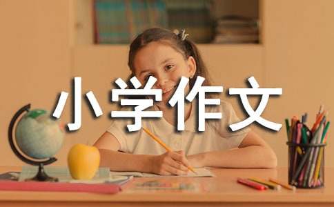 我最喜爱晚霞小学作文300字