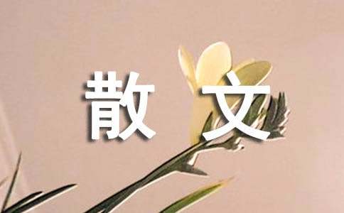 写散文作文600字4篇