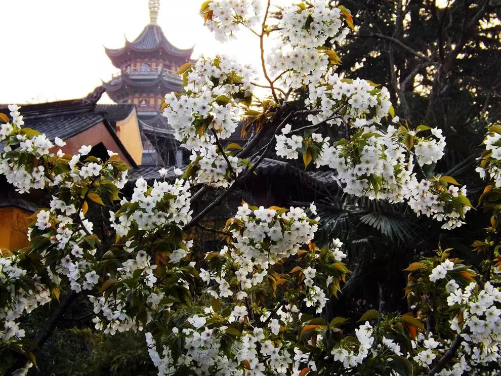 寒山寺碑_寒山寺的碑文诗谁刻的_寒山寺碑真迹