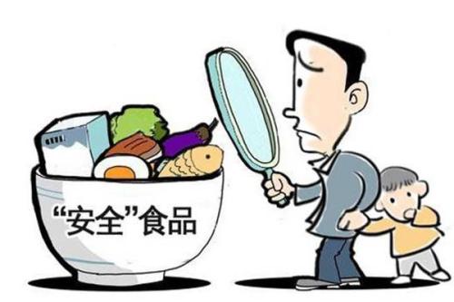 关于食品安全作文800字