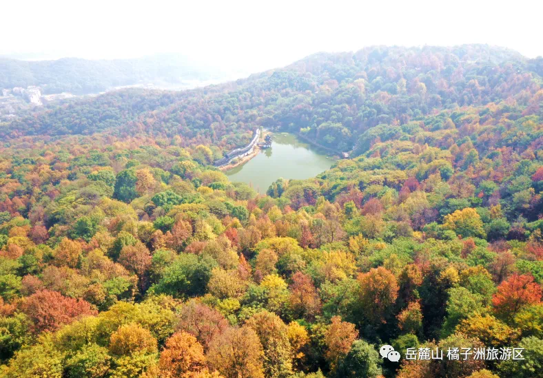 2021湖南醴陵陶瓷博览会_醴陵陶瓷国际会展中心_醴陵陶瓷会展馆