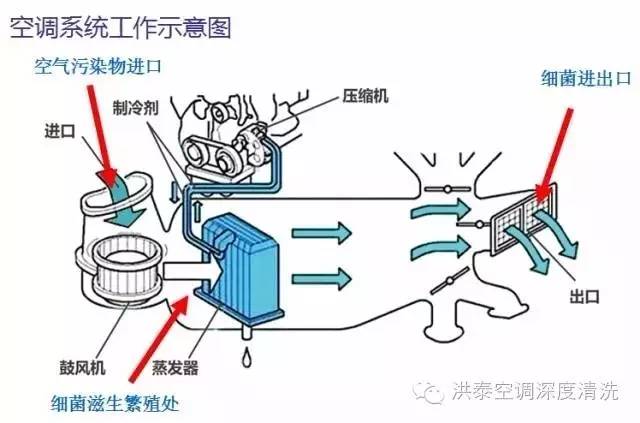 轿车地毯清洗多少费用_地毯清洗汽车视频_汽车地毯怎样清洗