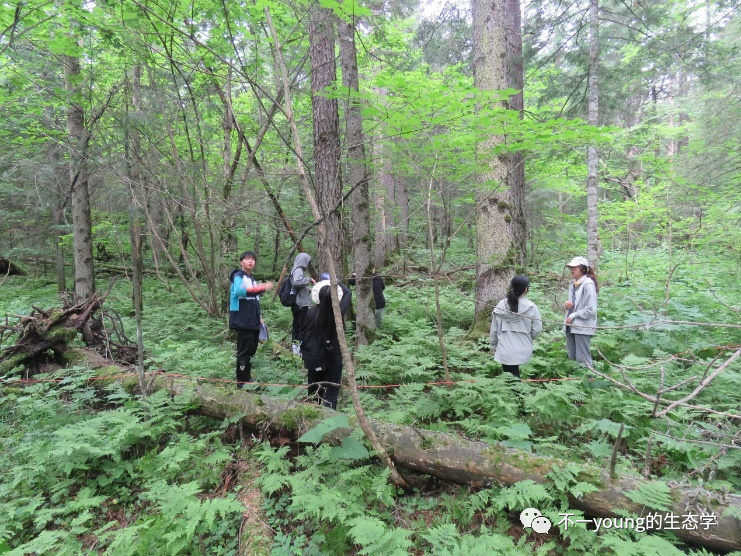 长白山山上的温度是多少_长白山上的温度是多少_长白山山顶温差