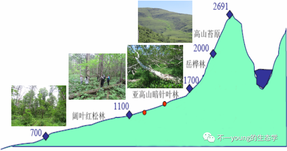 长白山山上的温度是多少_长白山上的温度是多少_长白山山顶温差