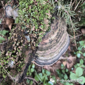 长白山上的温度是多少_长白山山上的温度是多少_长白山山顶温差