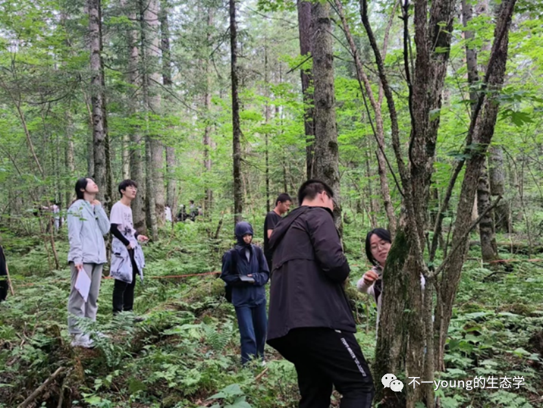 长白山山顶温差_长白山山上的温度是多少_长白山上的温度是多少