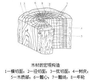 实木床橡木和榉木哪个好_实木床橡木好还是白蜡木好_橡木实木床