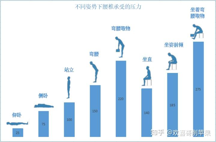 人体工程学椅子是什么意思_人体工程学椅子有用吗_椅子人体工程学