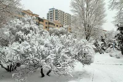 冬季地下室温度_地下室冬天温度一般有多少度_冬天地下室湿度多少合适