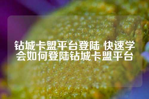 快速学会如何登陆钻城卡盟平台吧！