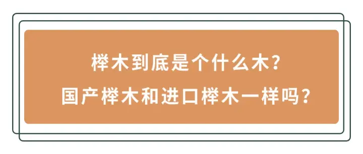 关于榉木知识的科普，看完之后你会有自己的答案